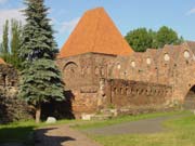 Teutonic castle ruins